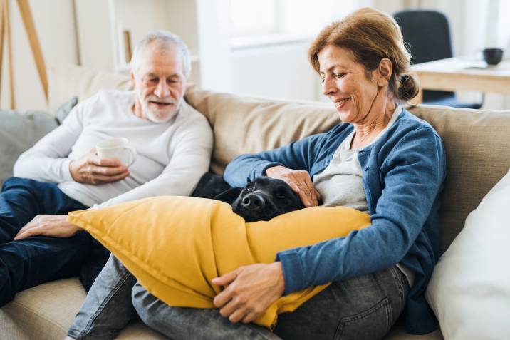 happy retired senior couple house sitting, sitting with dog on sofa