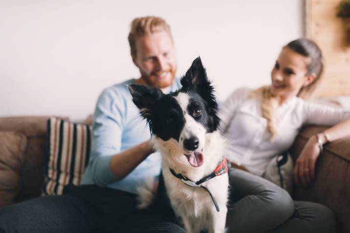 Beautiful happy couple relaxing on a couch with a dog. Pet sitting