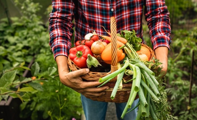 Food-related side hustles UK - Gardening