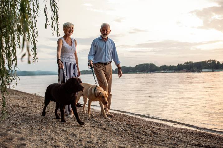 Dog walking job. Happy senior couple each walking a dog by the river