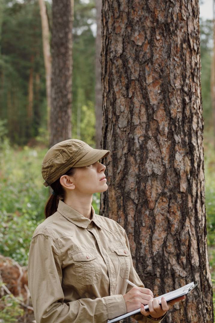 Woman park ranger in uniform with a clipboard, observing the forest area in summer