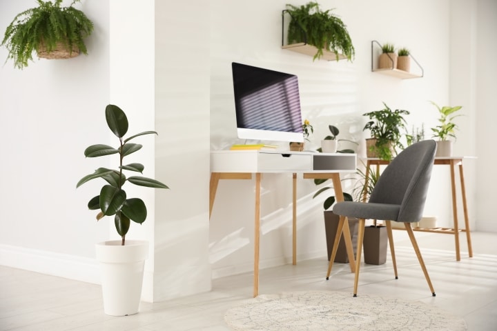 home office decorated with green potted plants. 