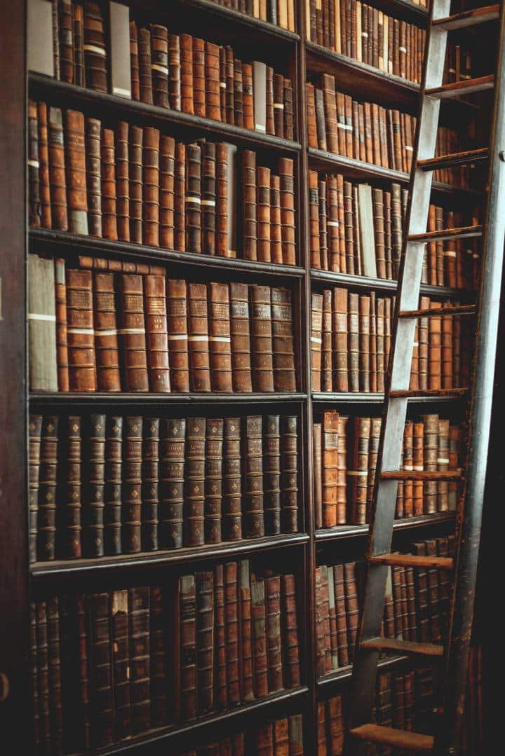 antique bookshelf with leather books