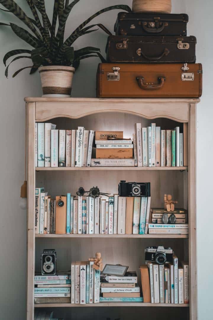 bookshelf of someone who loves to travel