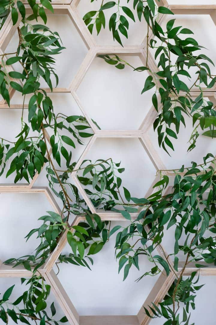 hexagon shelves with plant decor
