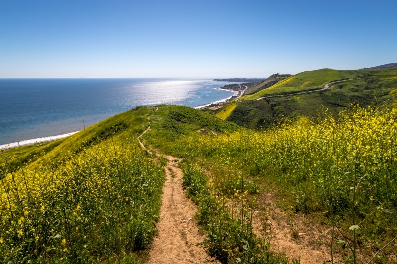 Corral Canyon Park in Los Angeles