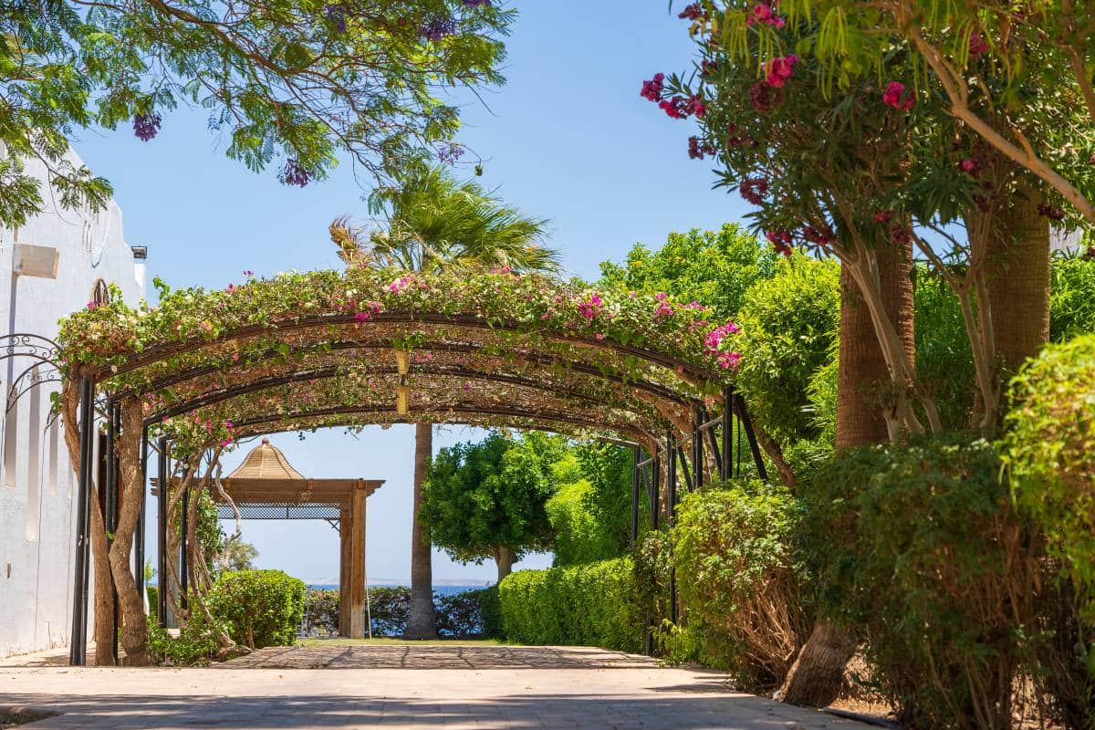 parking space in the form of an arch with garden flowers, carport in the yard 