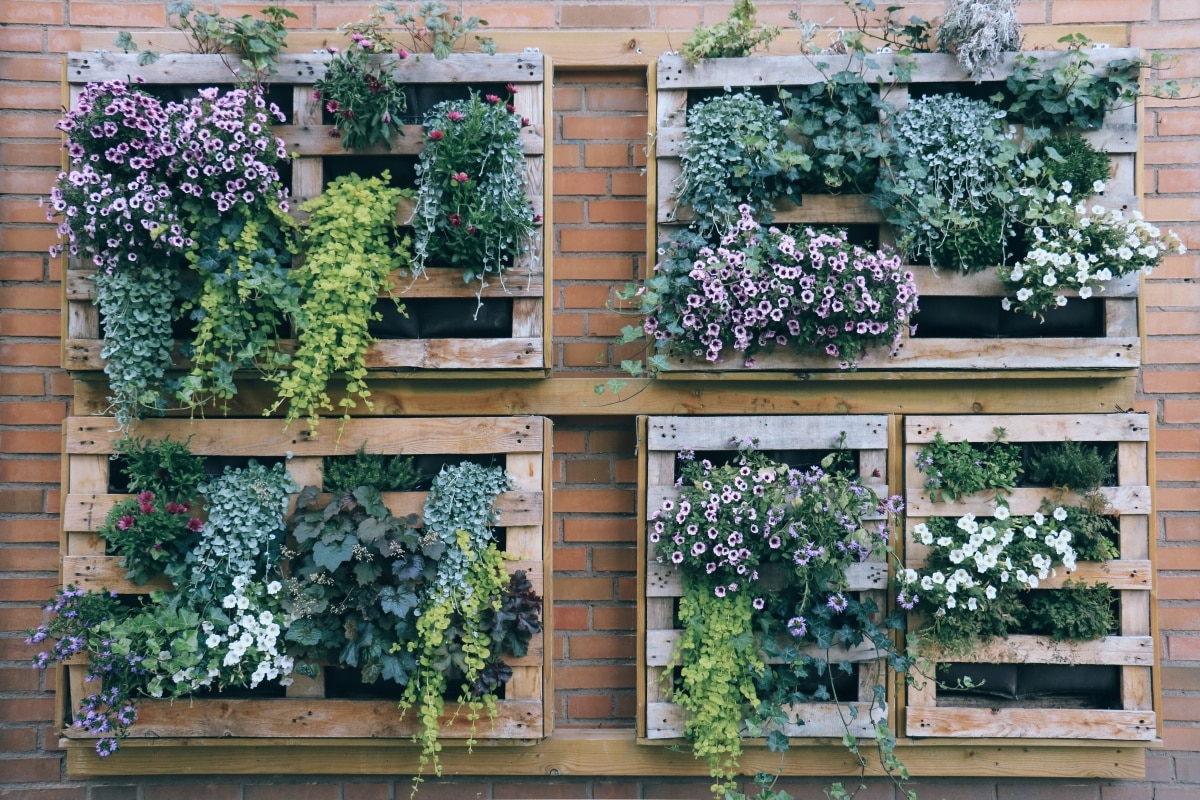 vertical green wall with planting crates mounted on a wall