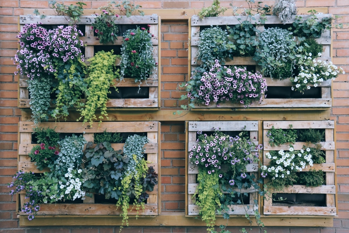 21 Easy Gardening Ideas