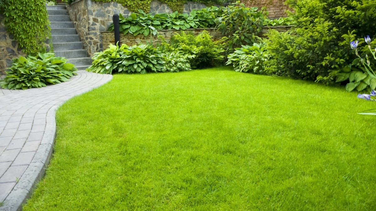 Garden stone path with grass growing up between the stones