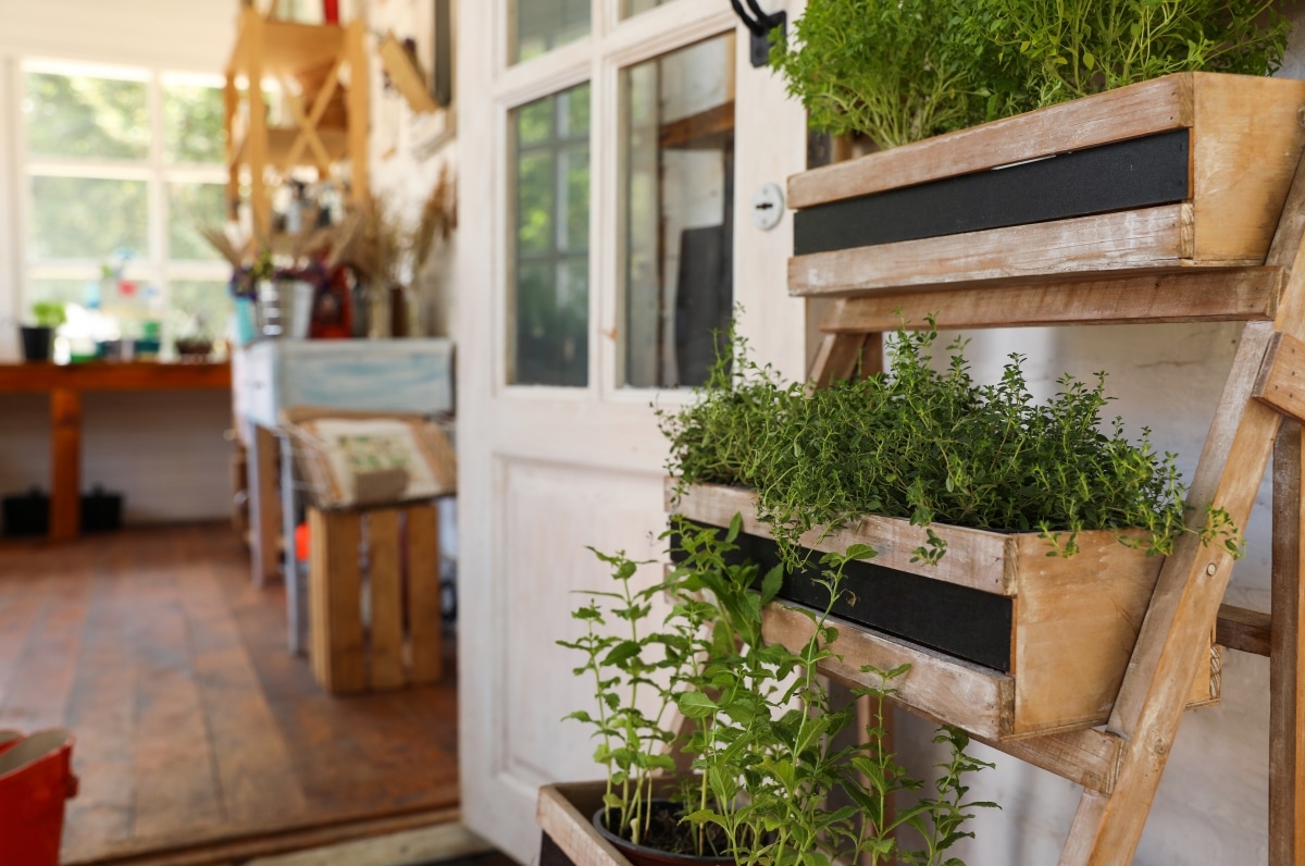 charming upcycled ladder to plant rack