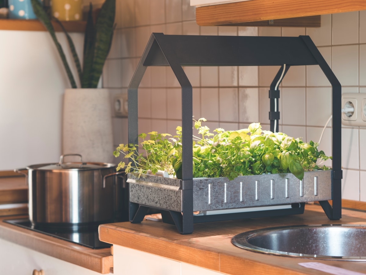 small hydroponic house for herbs