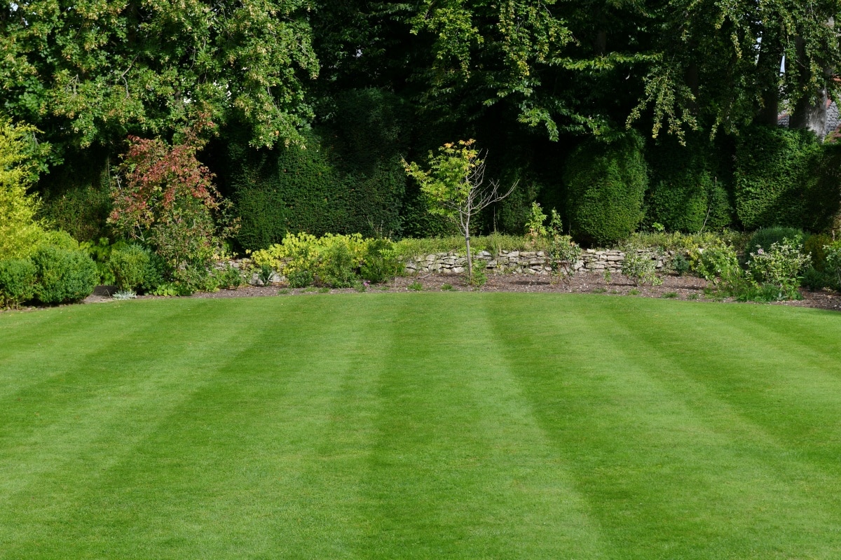 Garden with a freshly mowed grass lawn and colourful flower bed