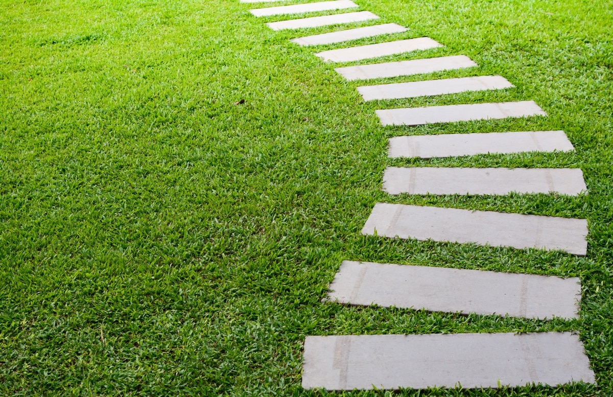 pathway in outdoor garden