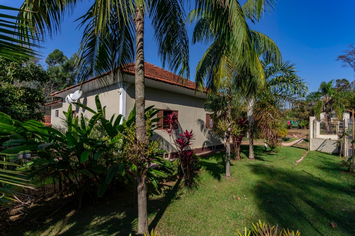 House with green grass and palm trees