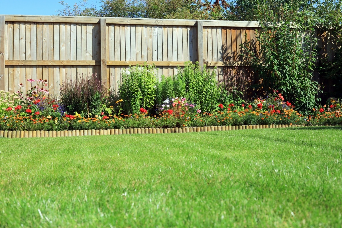 Shrubs and flowers In a border surrounded by a wooden fence and grass lawn