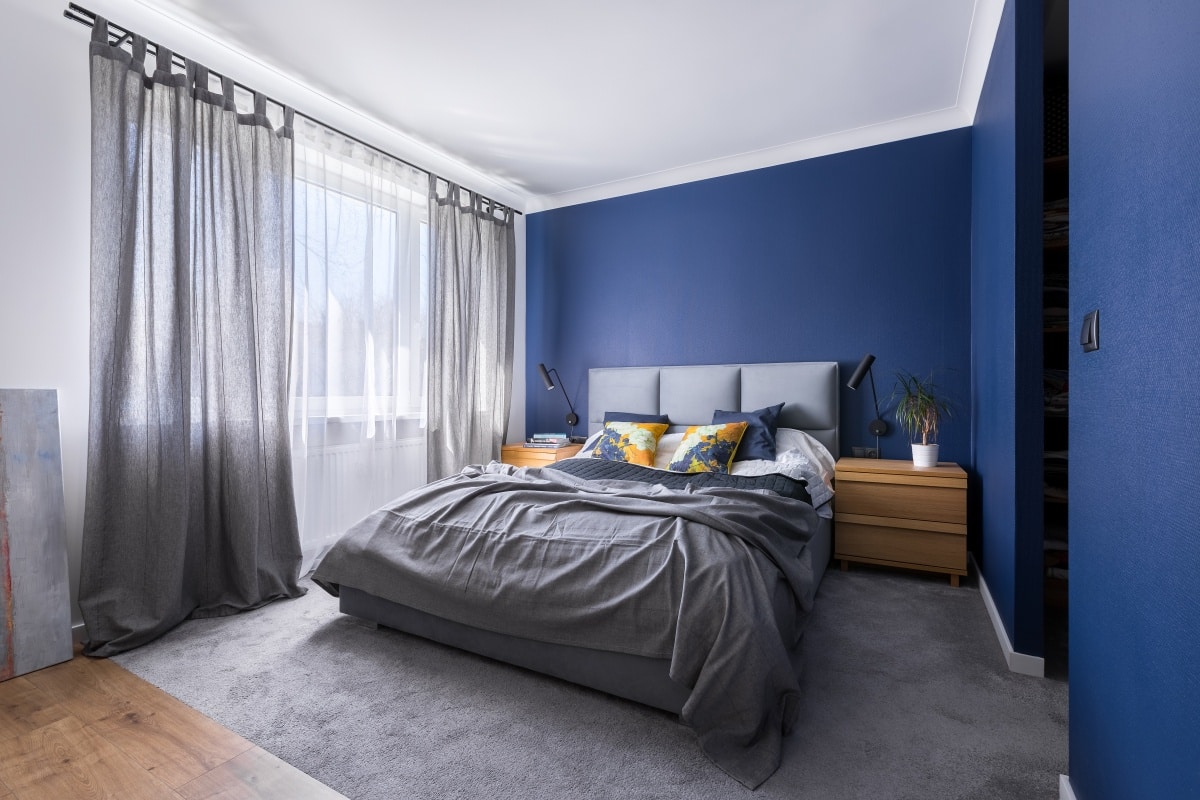 Modern, cobalt blue bedroom with double bed, gray bedding, carpet and window
