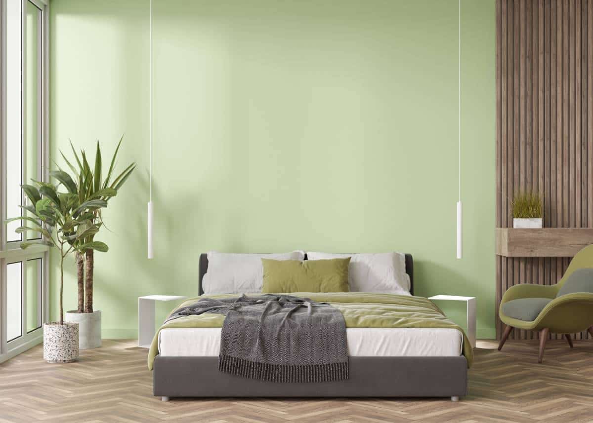 Empty light green wall in modern bedroom with bed, plants, and armchair