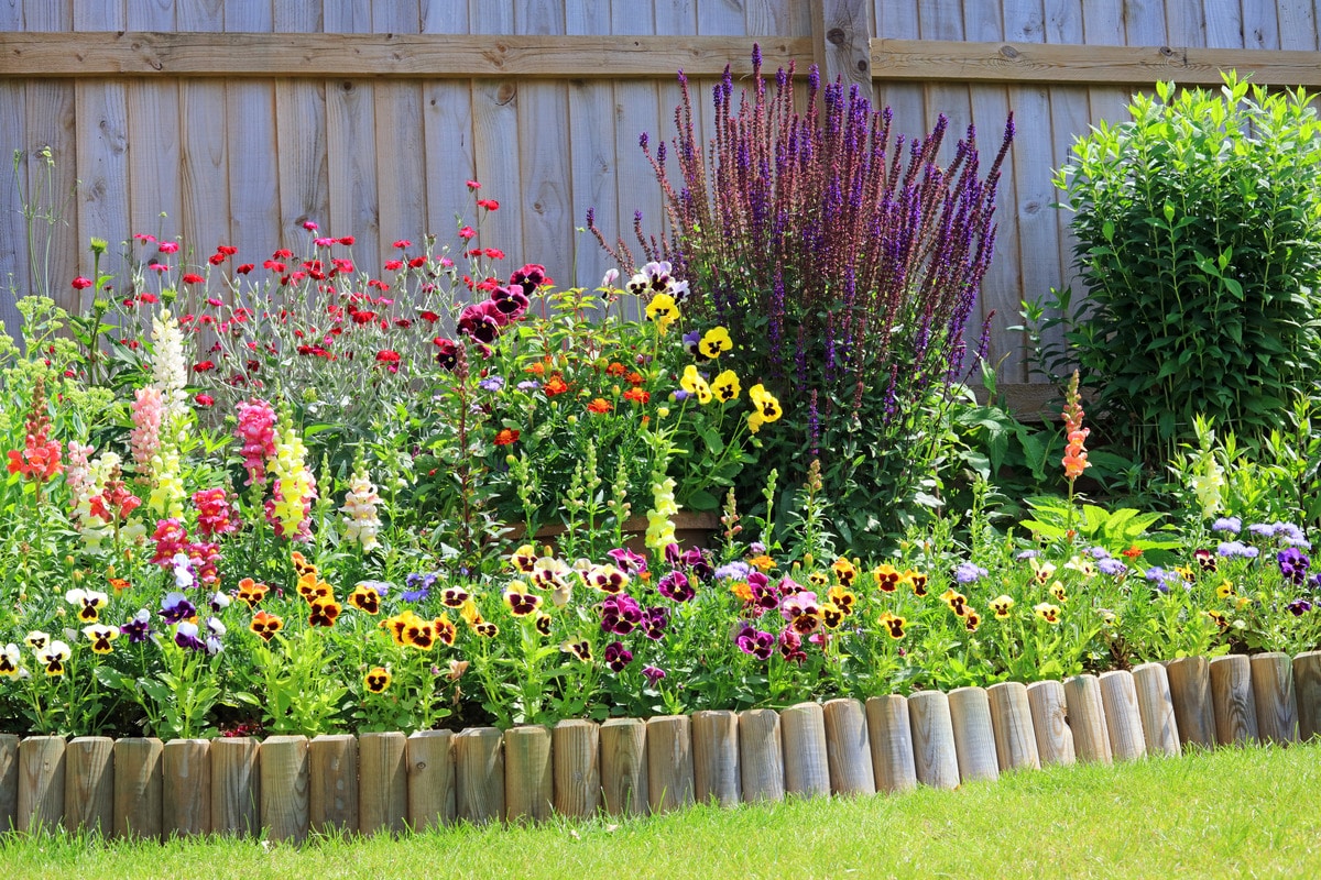 Various colourful flowers in a garden border with wooden fencing and log roll lawn edging