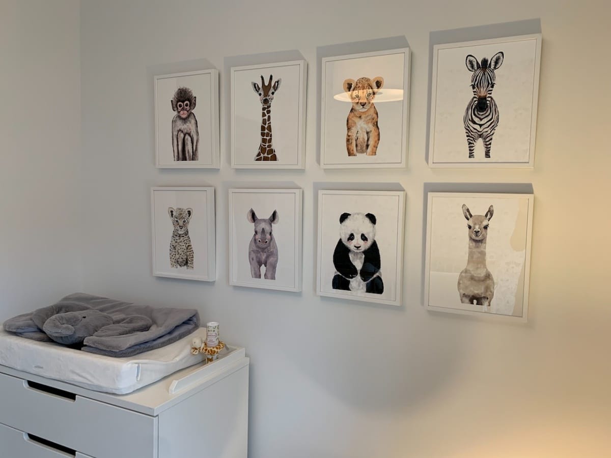 Different kinds of animal portraits on the wall