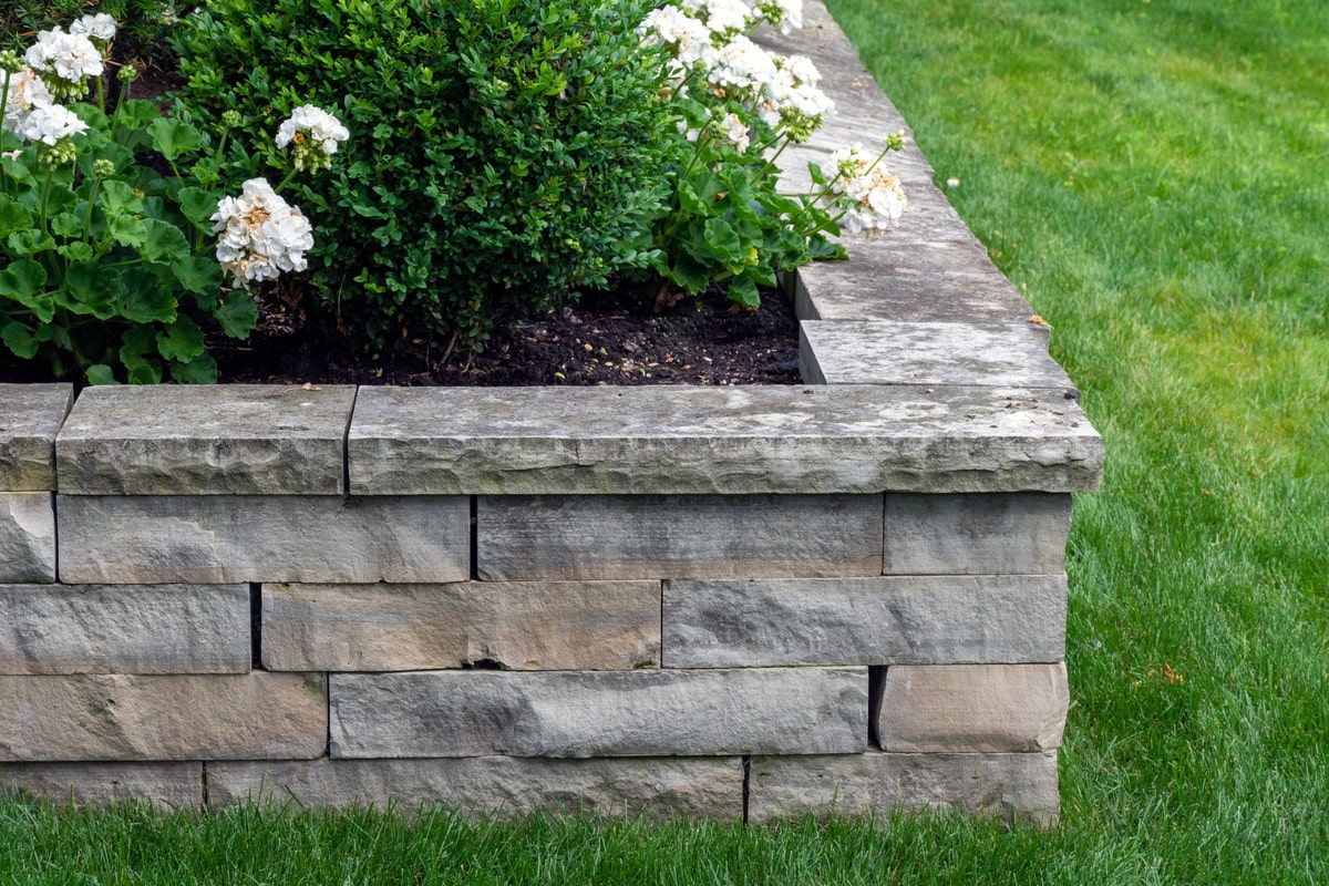 A natural stone retaining wall with matching coping that creates a raised planter bed