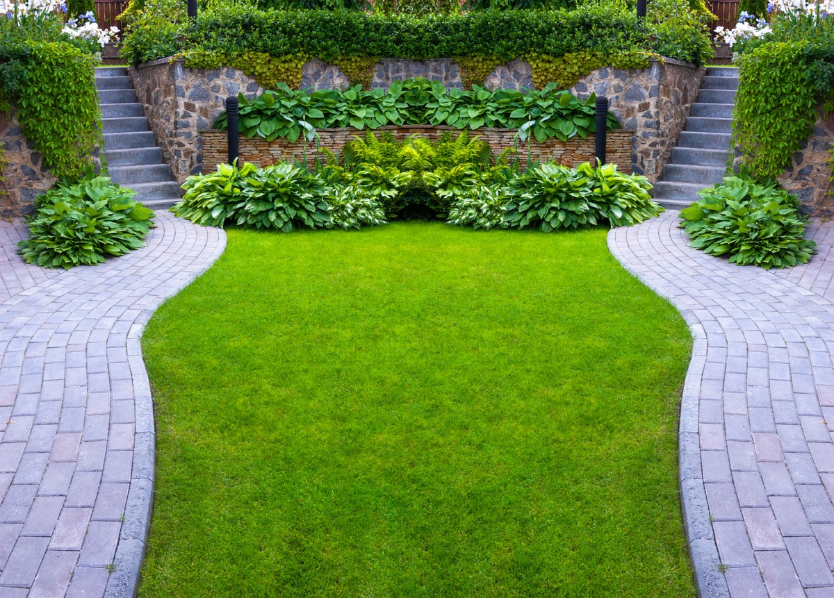 Two garden stone paths with grass growing up between the stones
