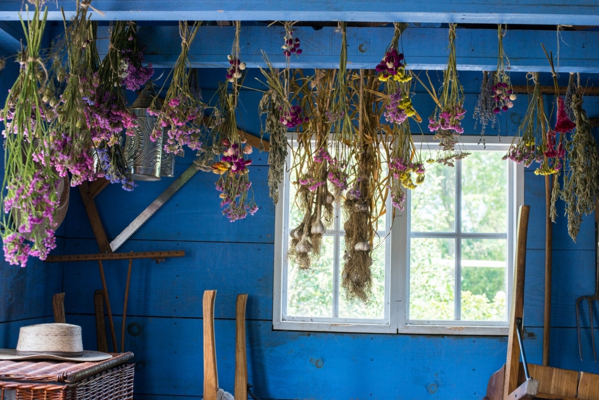 hanging dried flowers in bright blue room