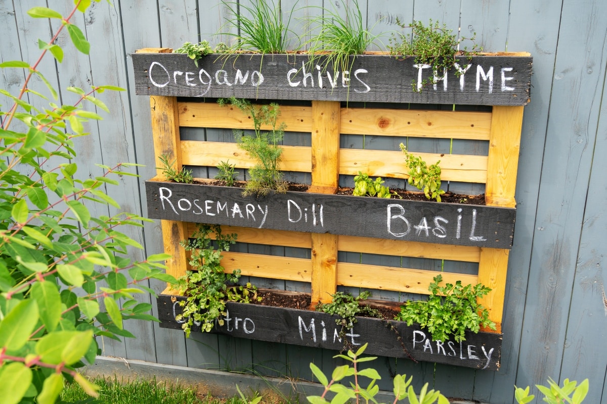 Creative wood herb planter made of wooden pallets pallet hanging on the grey fence