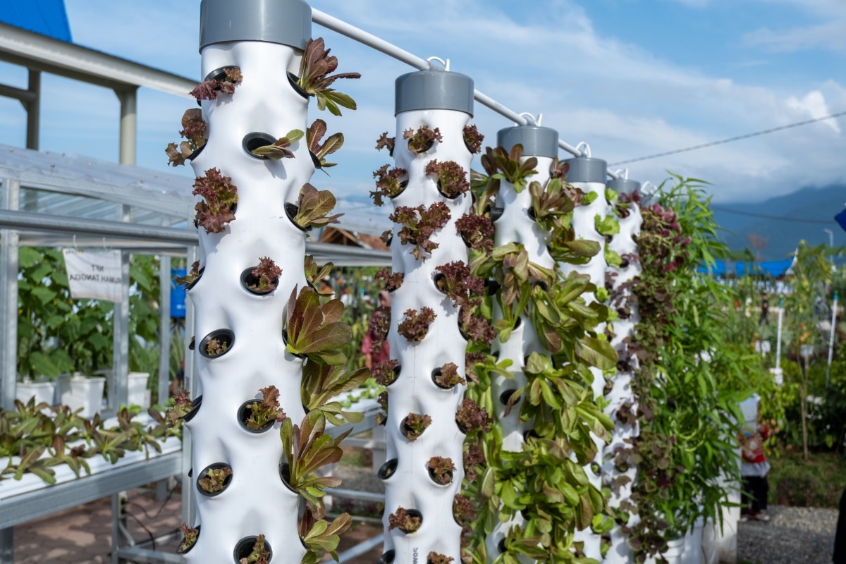 vertical hydroponic gardens