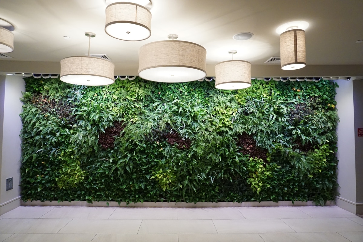 oxygen wall with tropical plants