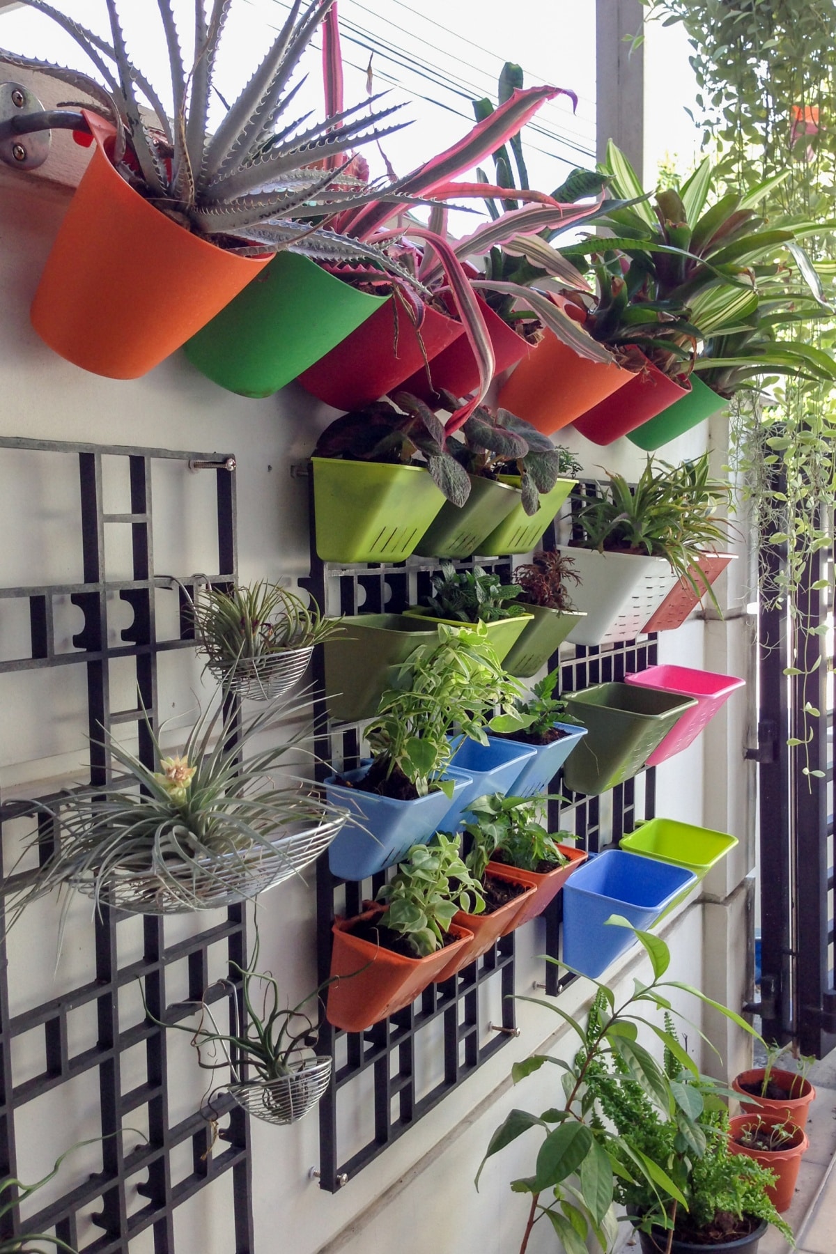 Simple vertical garden with colourful pots installed along a wall