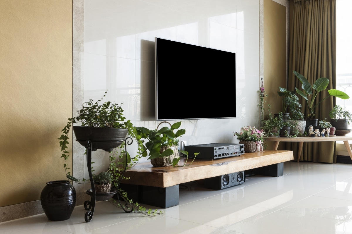 tv console decorated with plants