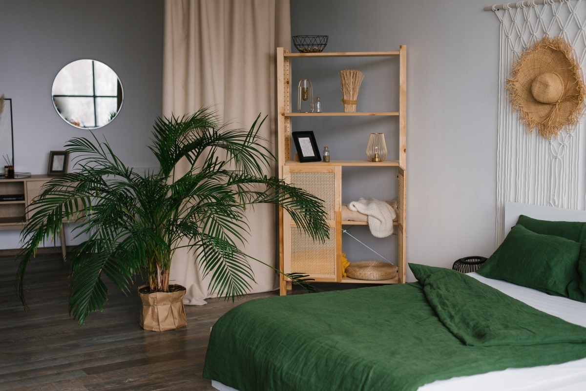 Bedroom interior in Scandinavian style with a bed with green linens, a potted date palm houseplant on the floor