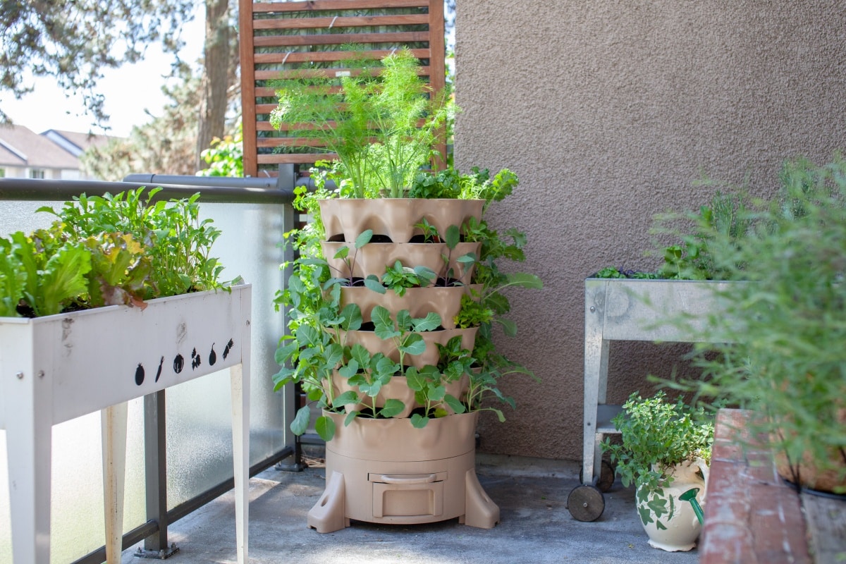 A tall vertical garden sits on an apartment balcony with fresh salad greens, herbs and vegetables