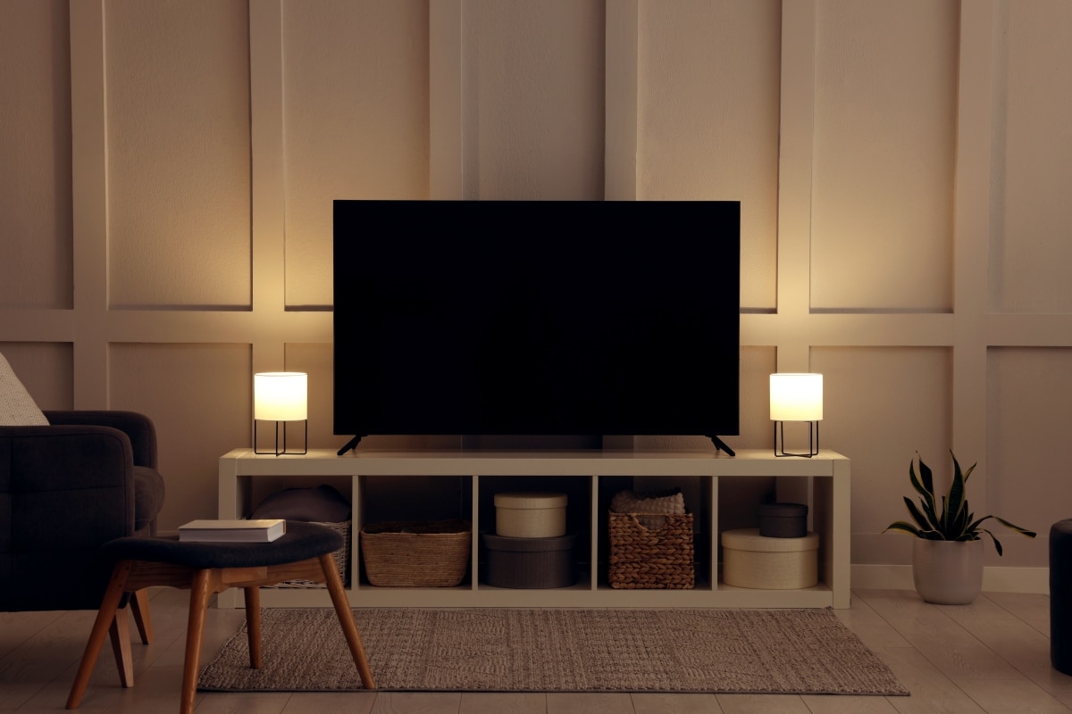 modern entertainment area with paneled walls