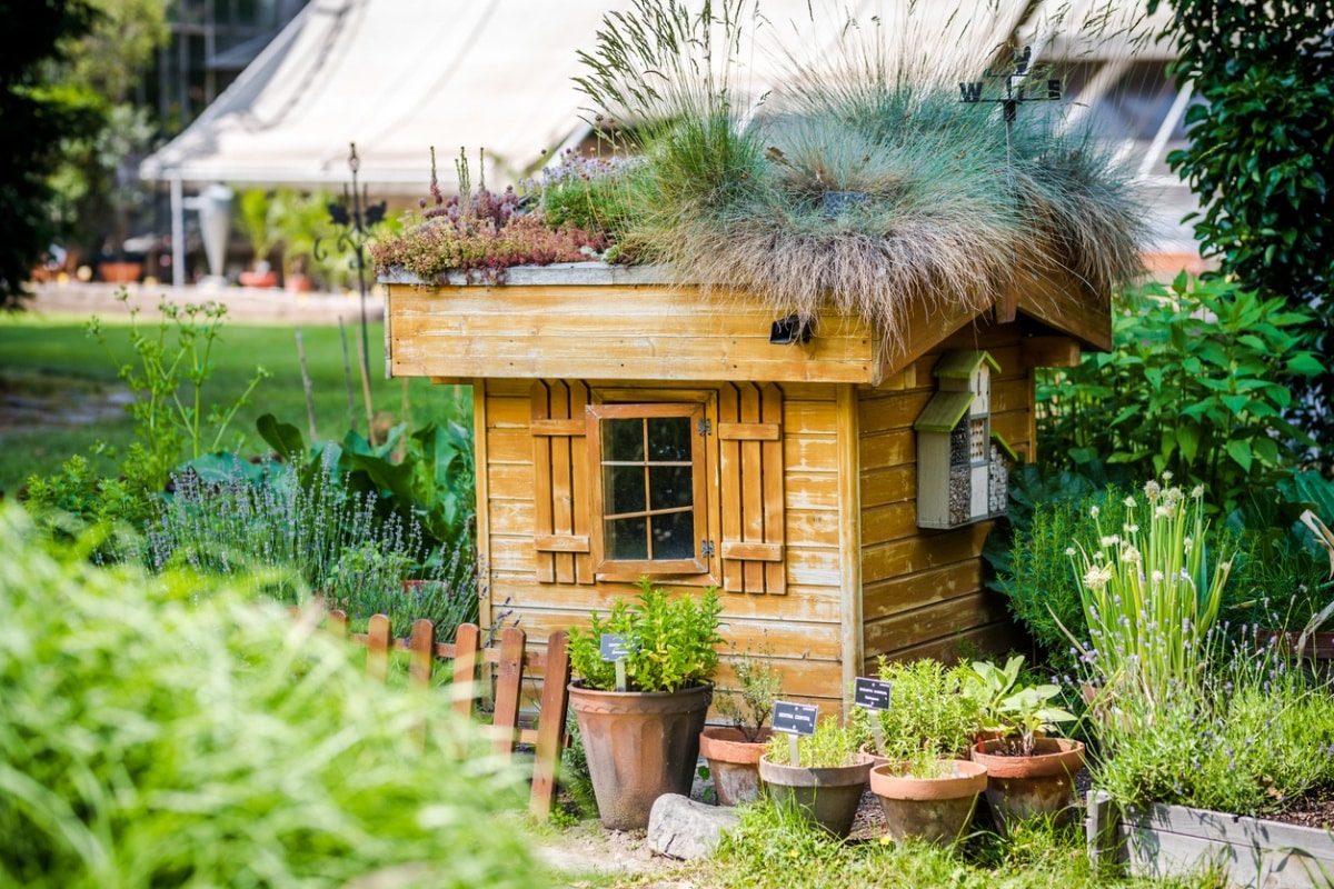 A cubby house in a botanical garden with variety of potted plants and greenery