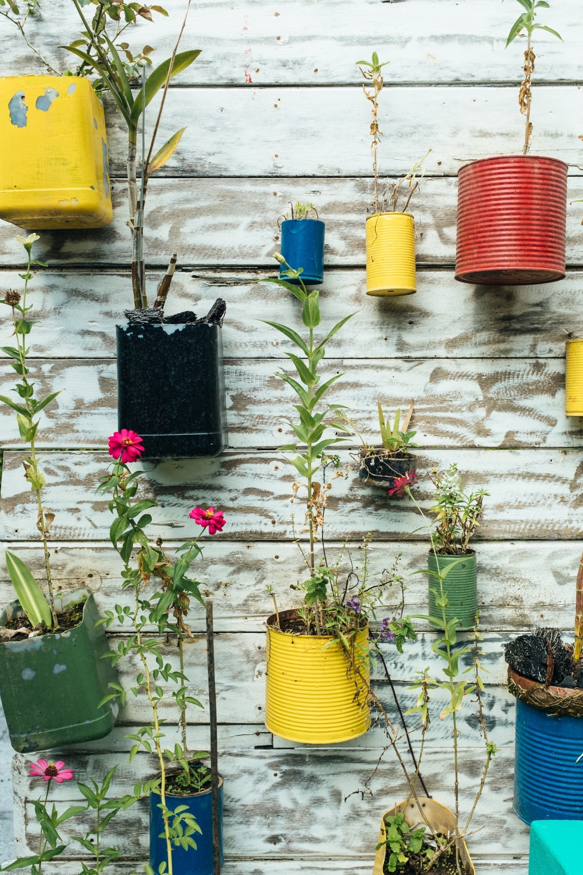 Recycling ideas for your kids garden