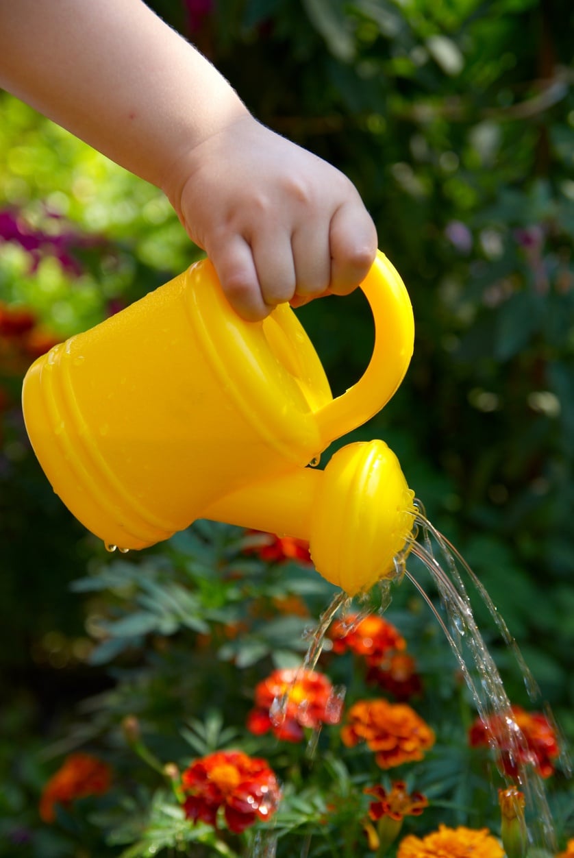 A child pouring water over flowers with a tiny watering can