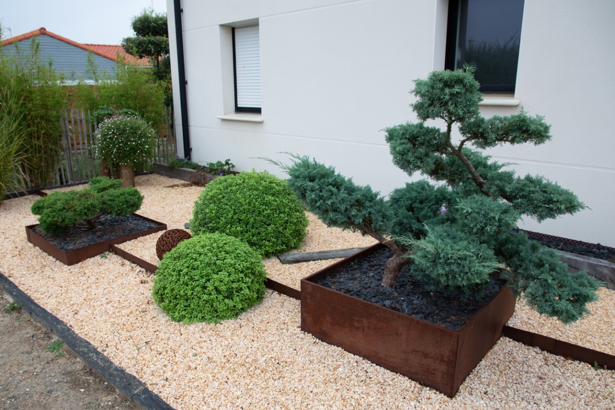 Asian inspired maintained garden features rockery and minimalist style trees and stone