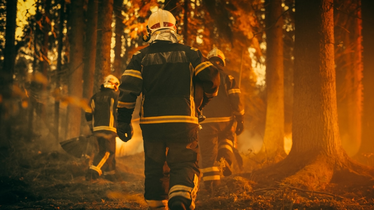 A team of firefighters rushing to a bushfire site.