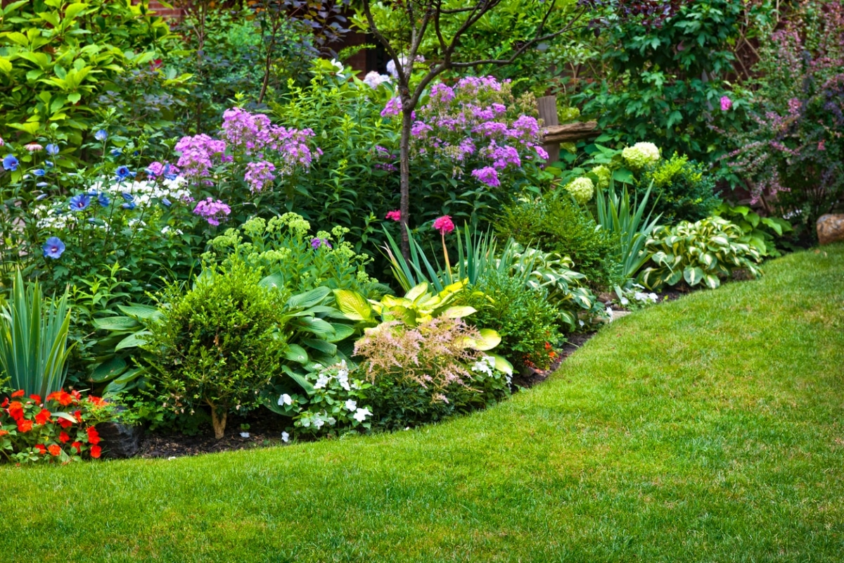 colourful garden flowerbed