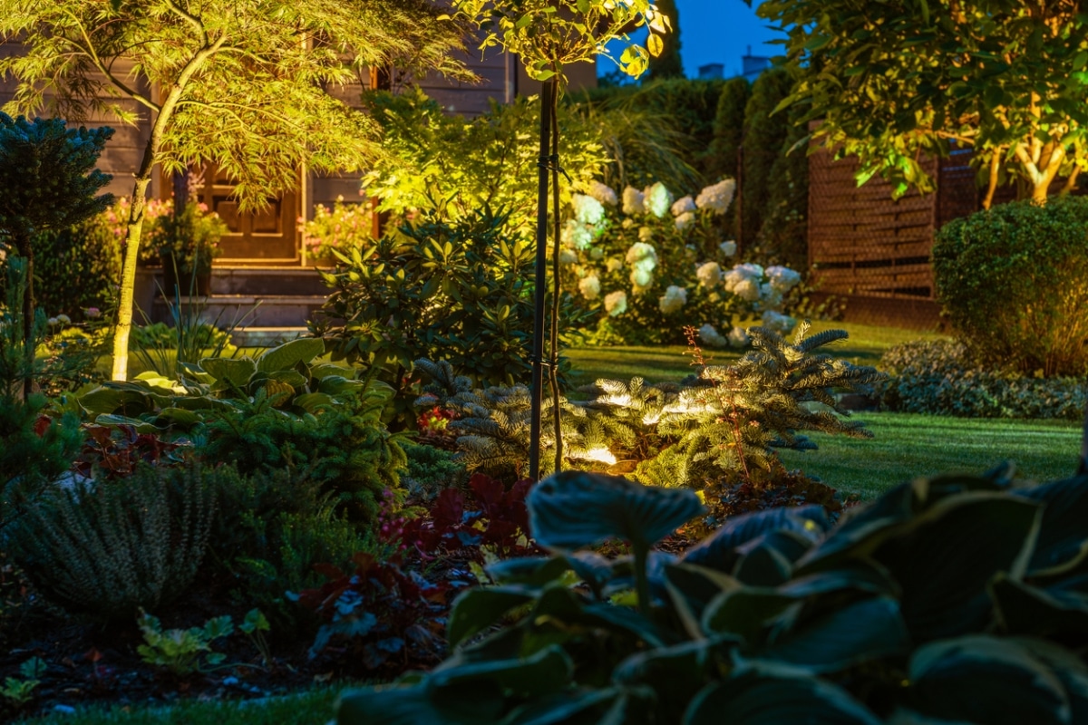 elegant garden landscape lighting
