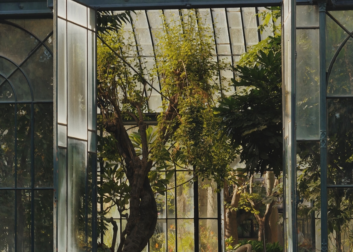 indoor garden with glass walls