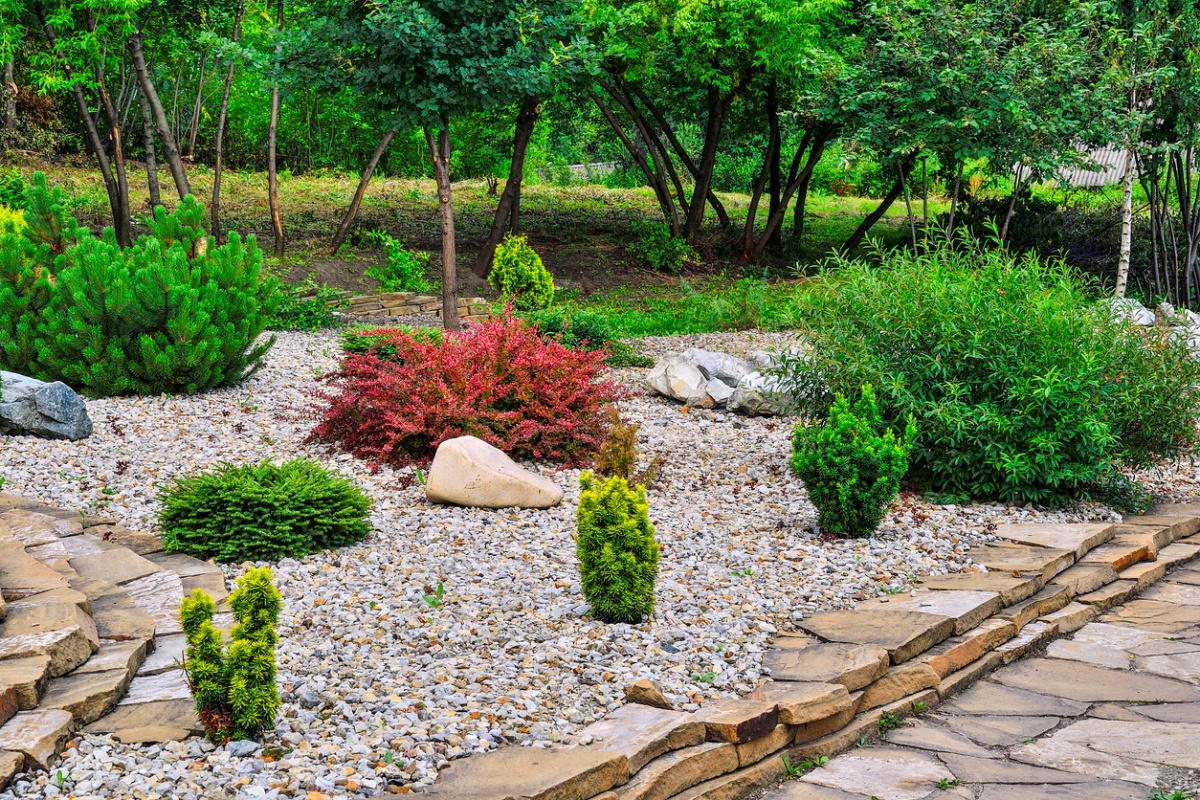 Corner of ornamental stony garden with various dwarf coniferous shrubs and deciduous bushes