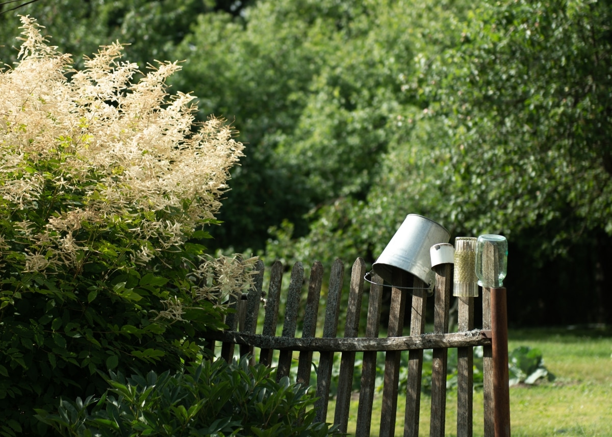 charming timbre garden fence