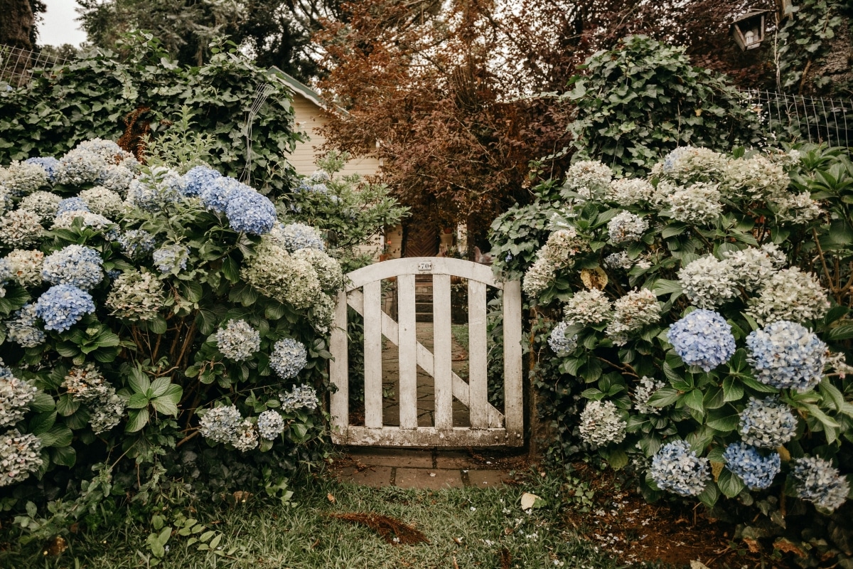 20 Garden gate ideas