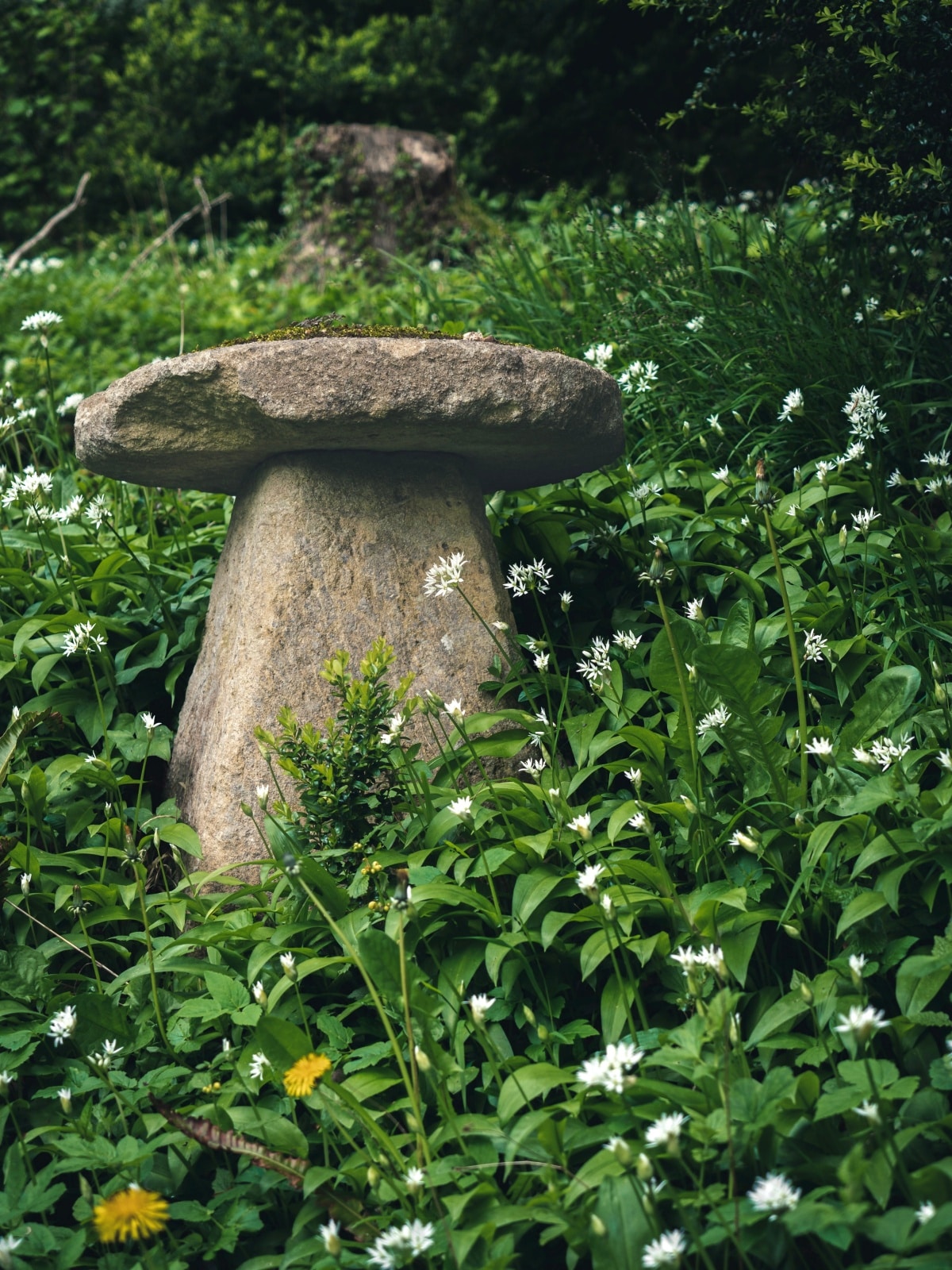 Staddle stone surrounded by wildflowers