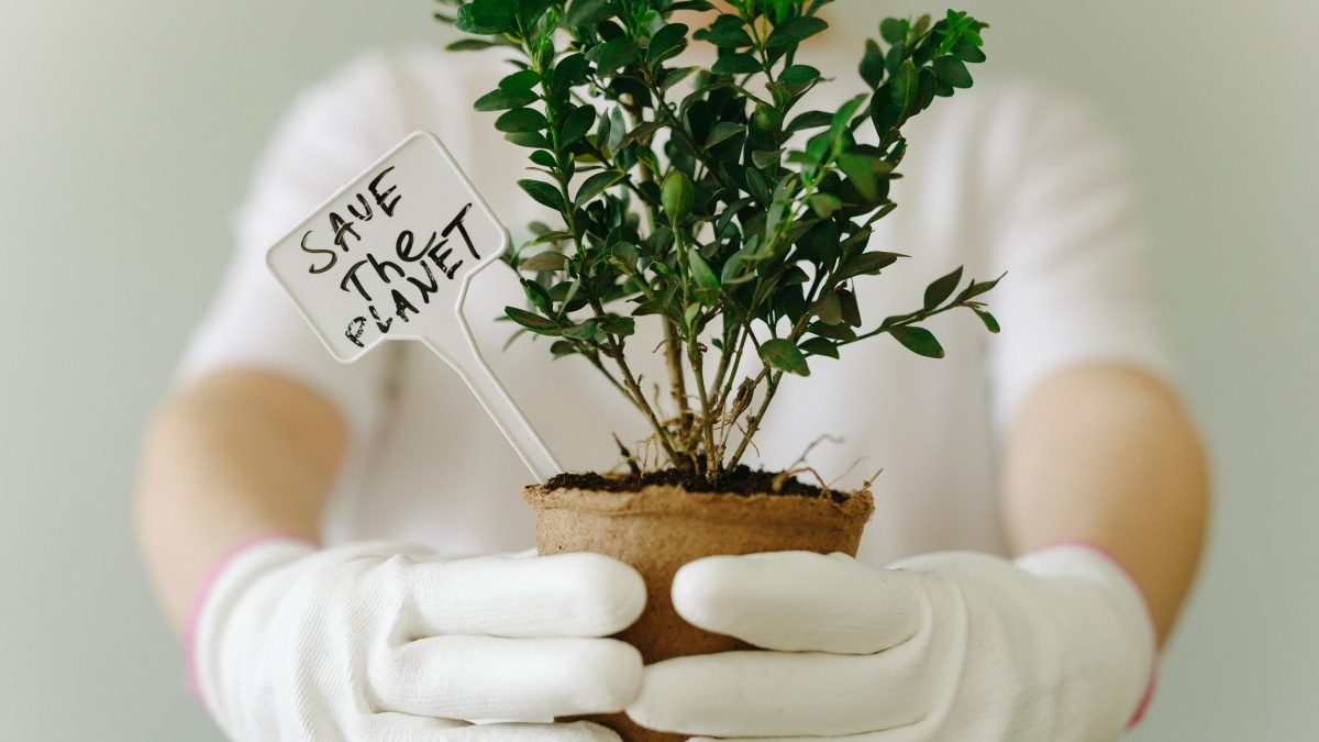 A man holding a potted plant to celebrate Earth Day.